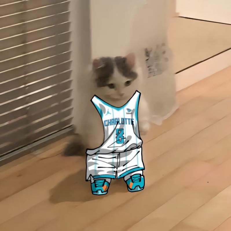 nba basketball southeast charlottehornets