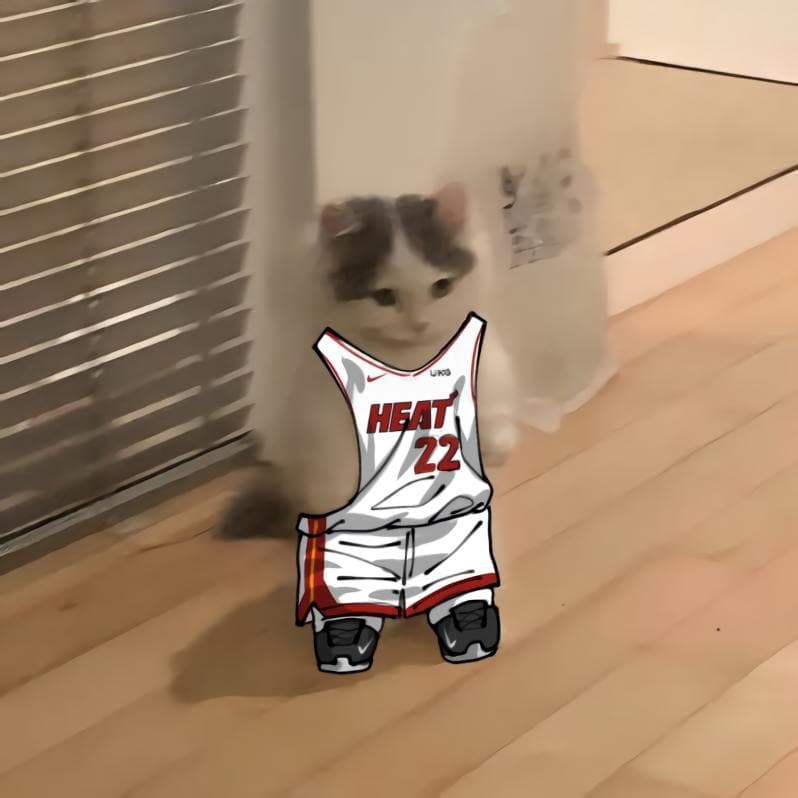 nba basketball southeast miamiheat