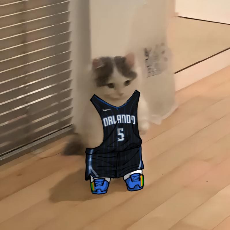 nba basketball southeast orlandomagic