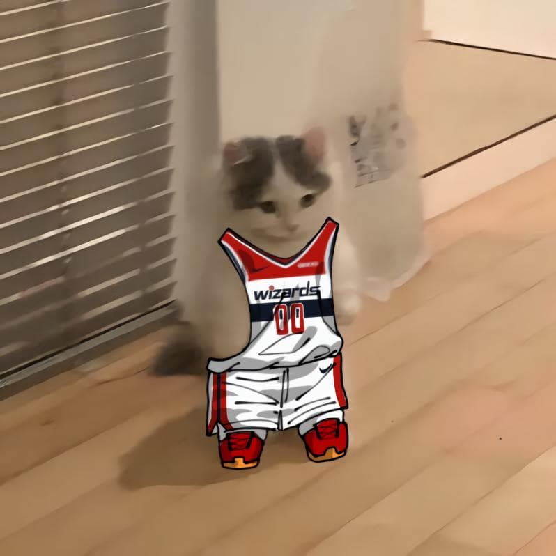 nba basketball southeast washingtonwizards