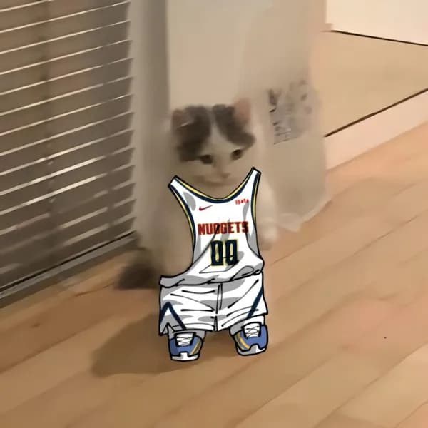 nba basketball northwest denvernuggets