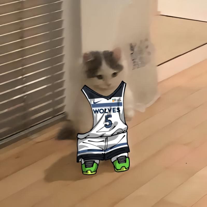 nba basketball northwest minnesotatimberwolves