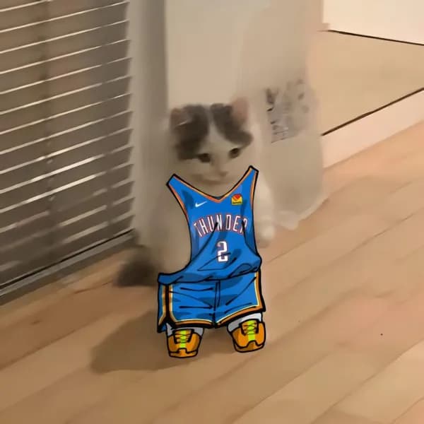 nba basketball northwest okcthunder