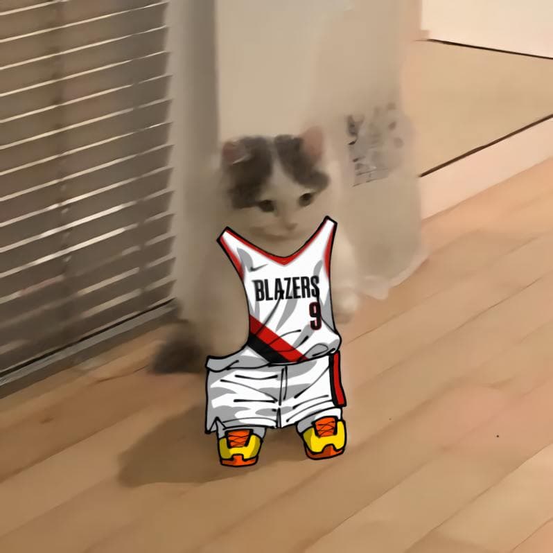 nba basketball northwest portlandtrailblazers