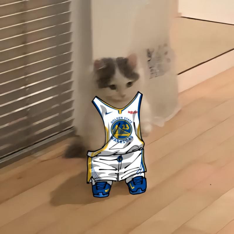 nba basketball pacific goldenstatewarriors