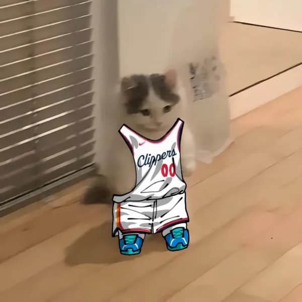 nba basketball pacific losangelesclippers