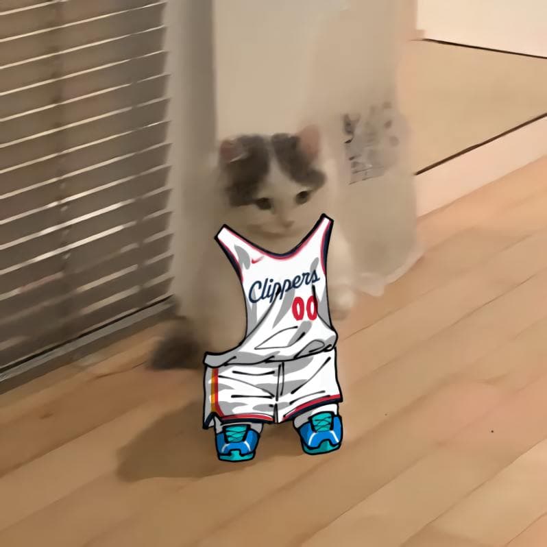 nba basketball pacific losangelesclippers