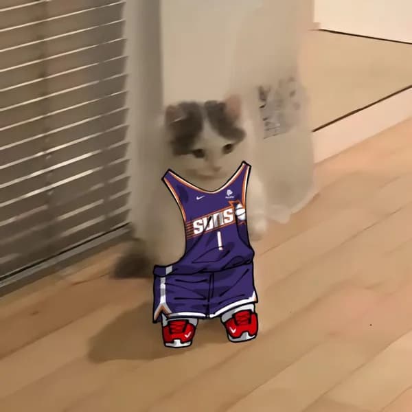 nba basketball pacific phoenixsuns