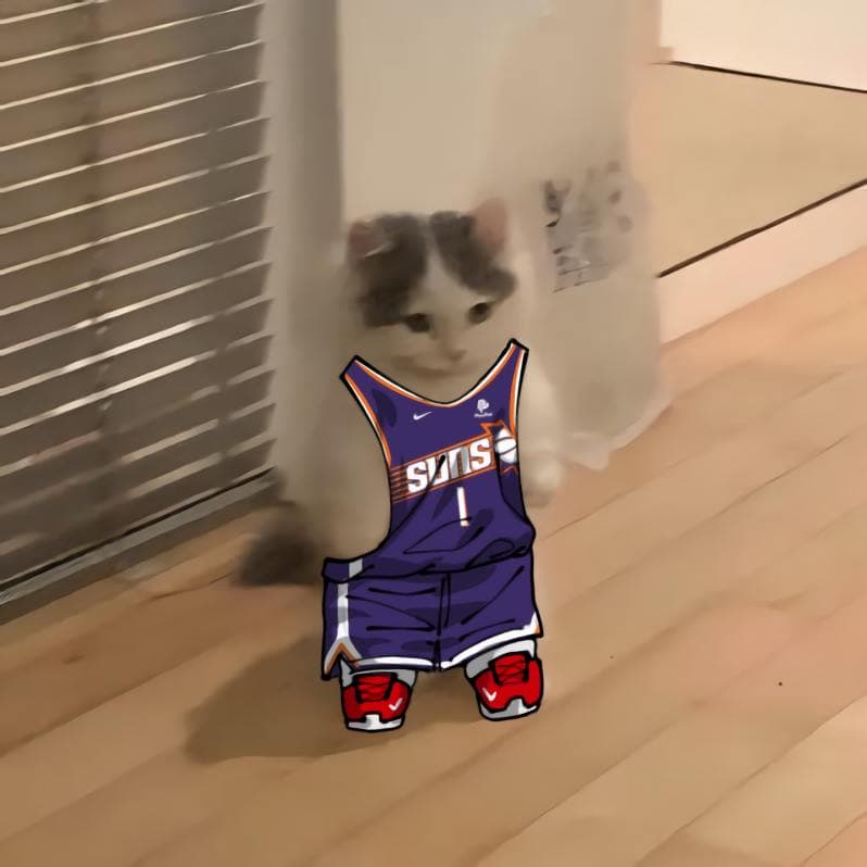 nba basketball pacific phoenixsuns