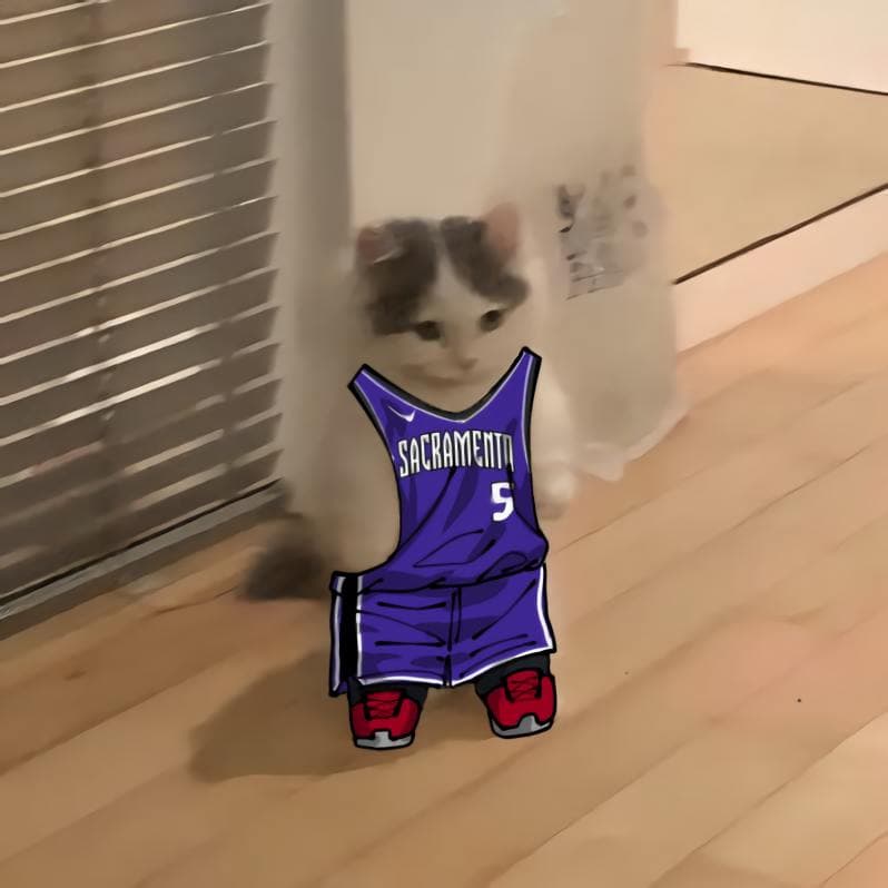 nba basketball pacific sacramentokings