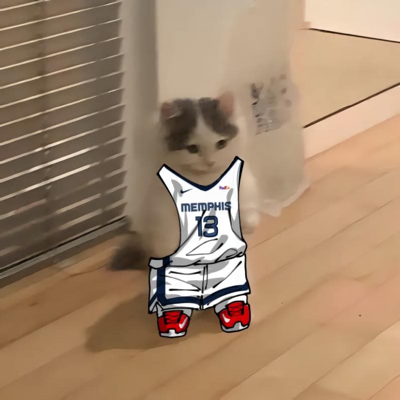 nba basketball southwest memphisgrizzlies