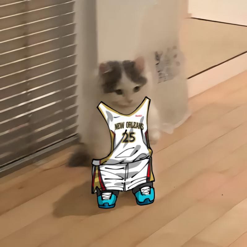 nba basketball southwest neworleanspelicans