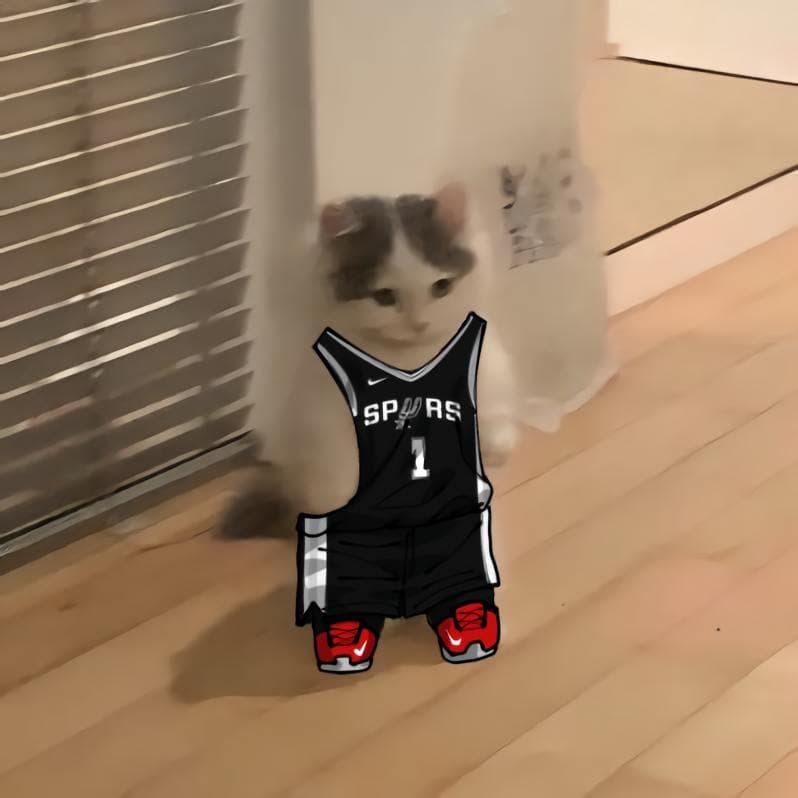 nba basketball southwest sanantoniospurs