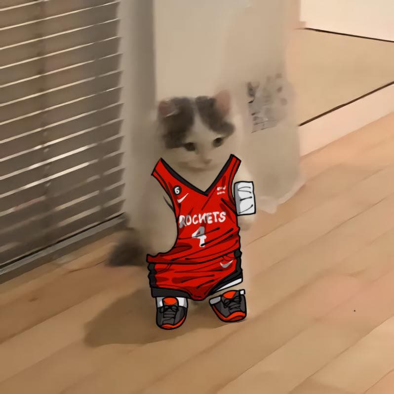 nba basketball southwest houstonrockets