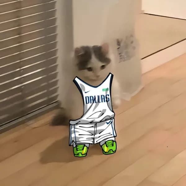 nba basketball southwest dallasmavericks