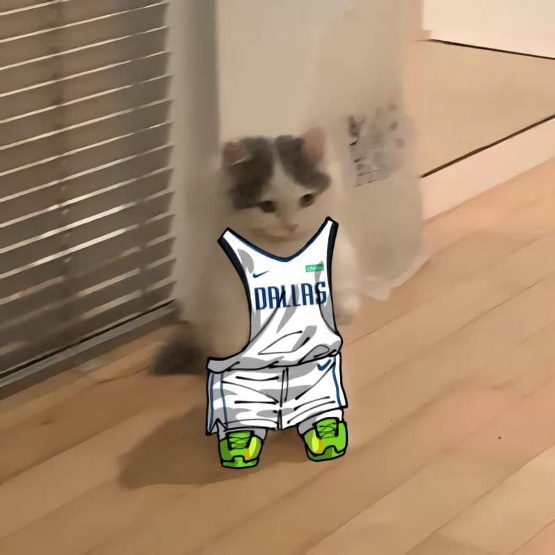 nba basketball southwest dallasmavericks