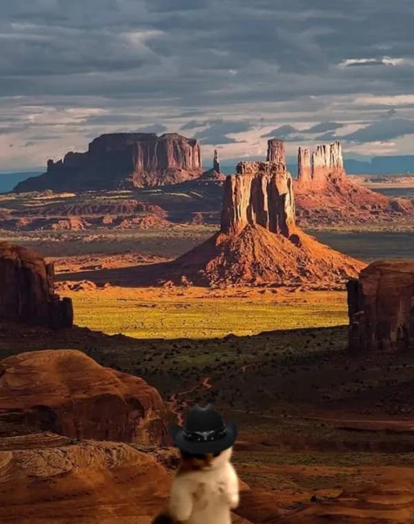 cowboy western
