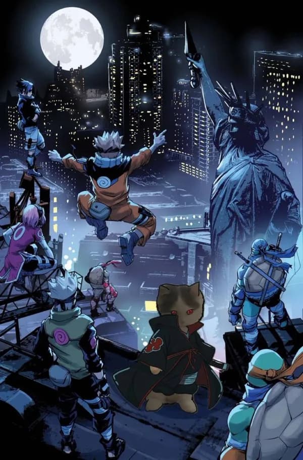 anime tmnt turtle