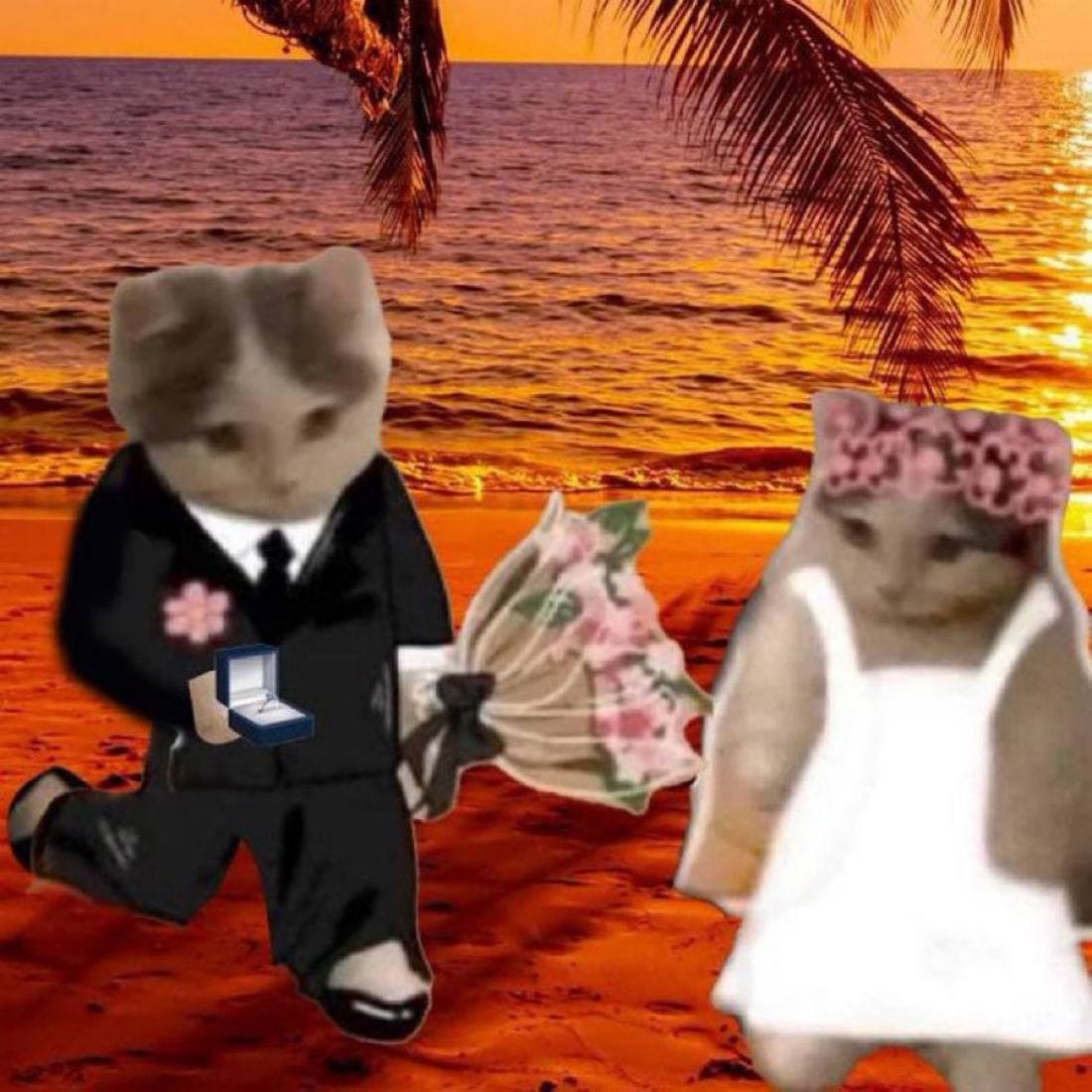 marry love heart flowers propose beach