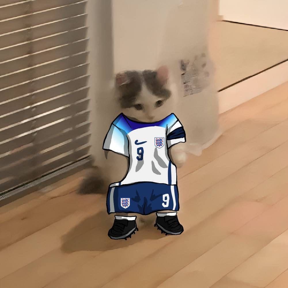 soccer football euro sports england