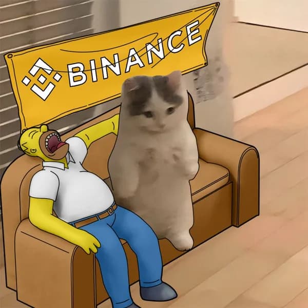 binance exchanges homersimpson