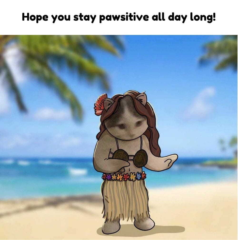 pawsitive positive vibe beach meme
