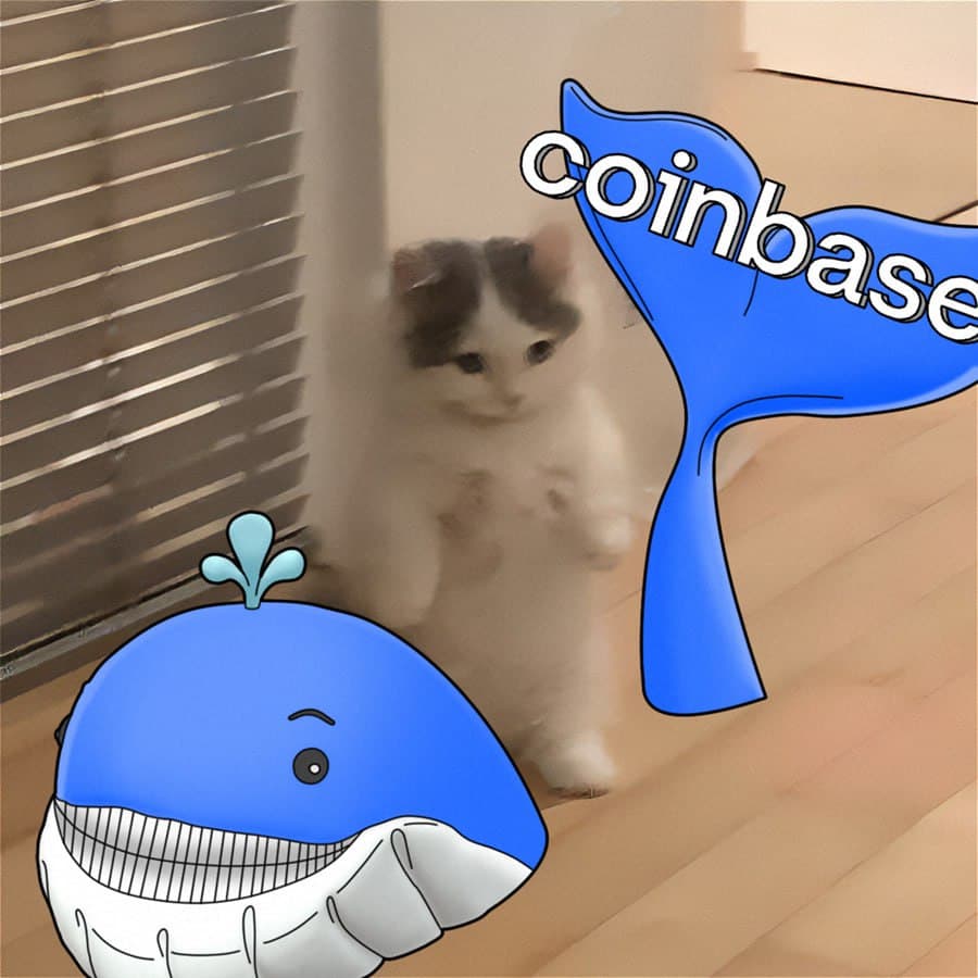 coinbase exchanges whale