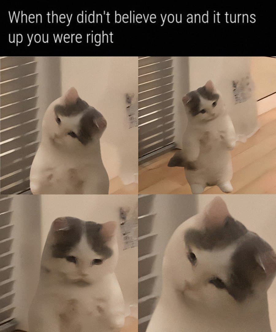 believe right turnsout