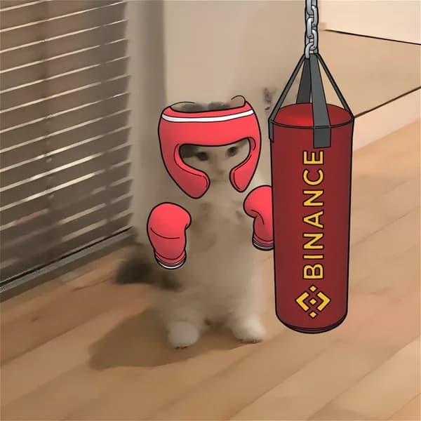exchanges binance boxing gloves gym