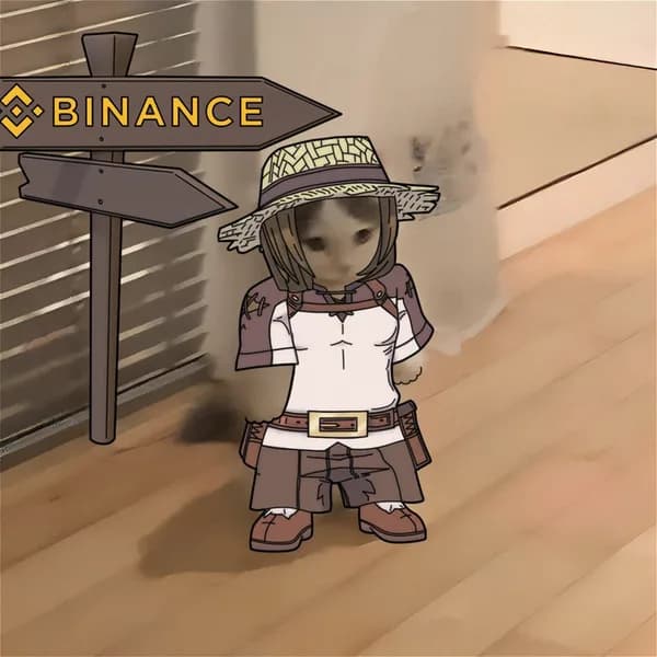 exchanges binance safari