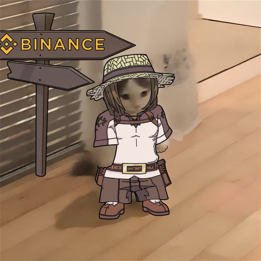 exchanges binance safari
