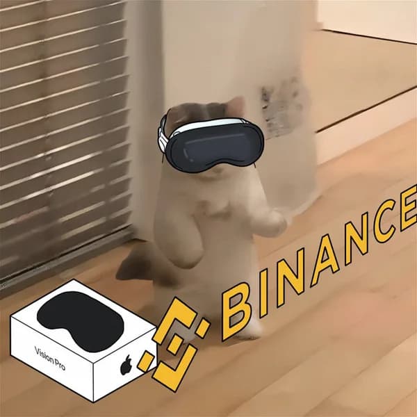 exchanges binance visionpro vr