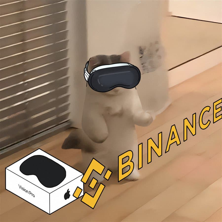 exchanges binance visionpro vr