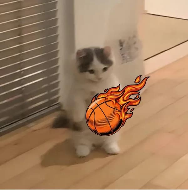 basketball heat
