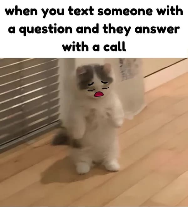 meme text question call