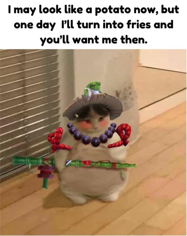 fat potato fries funny meme