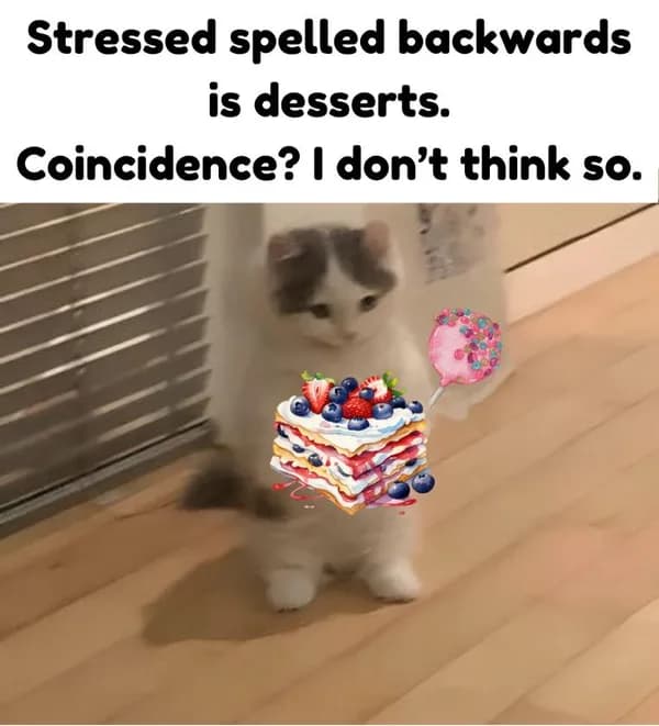 stressed desserts coincidence cake eat happy cute meme
