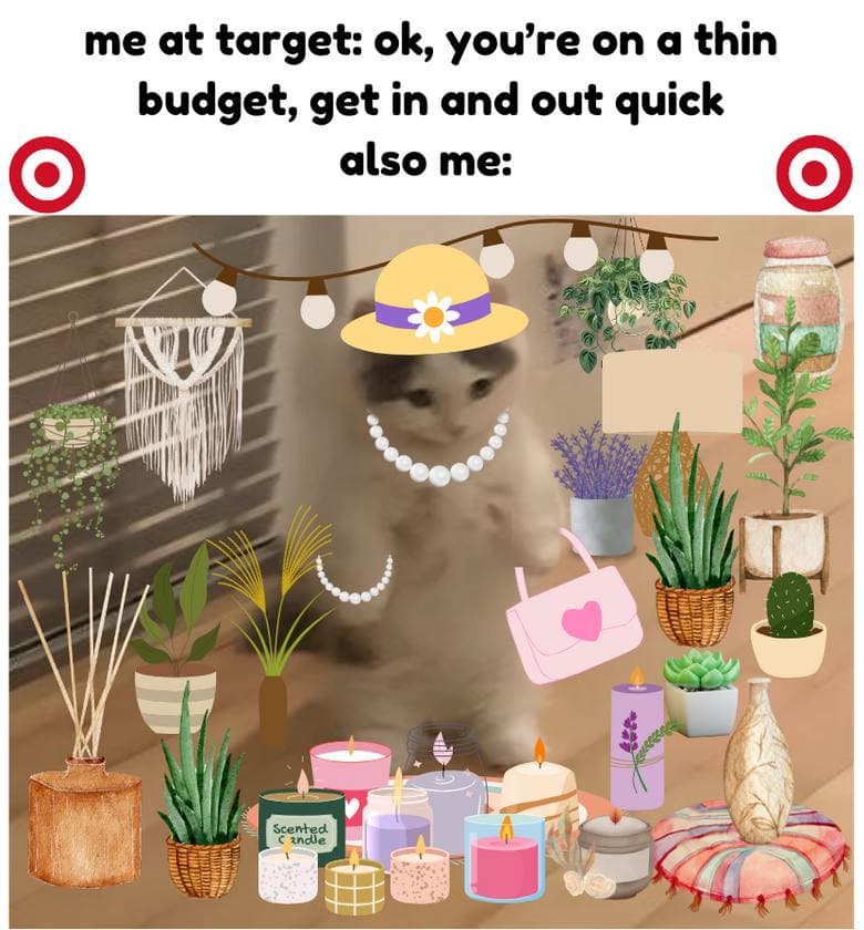 meme target budget shop bags