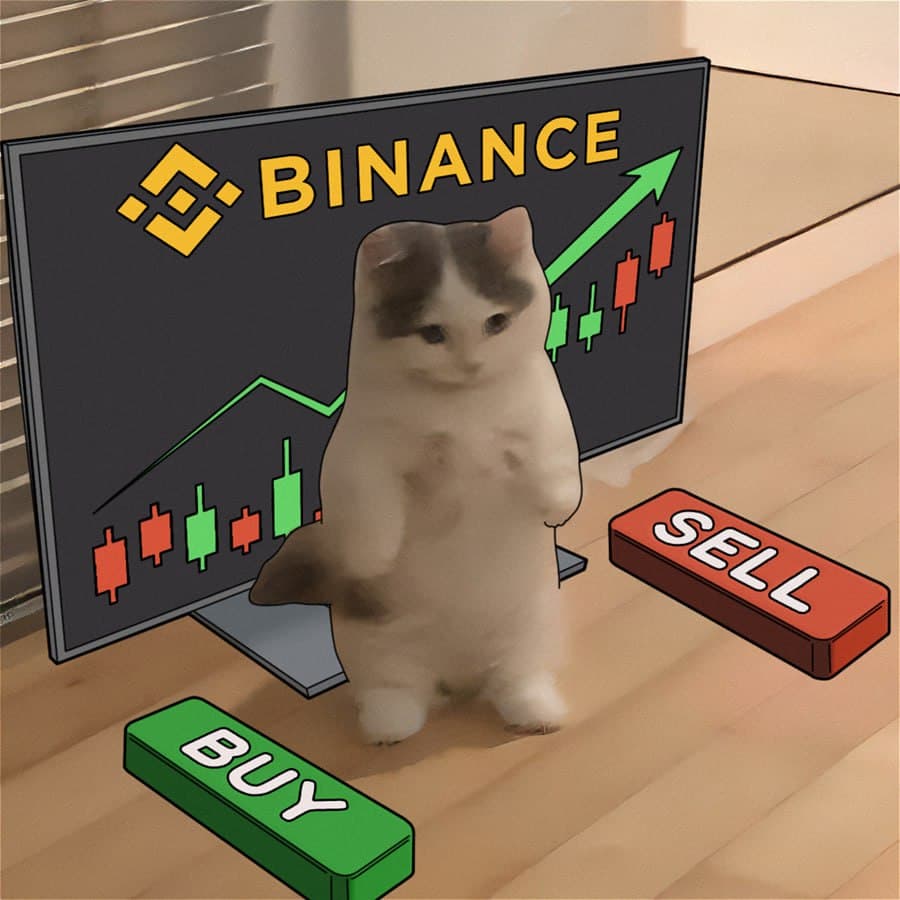 exchanges binance buy sell chart