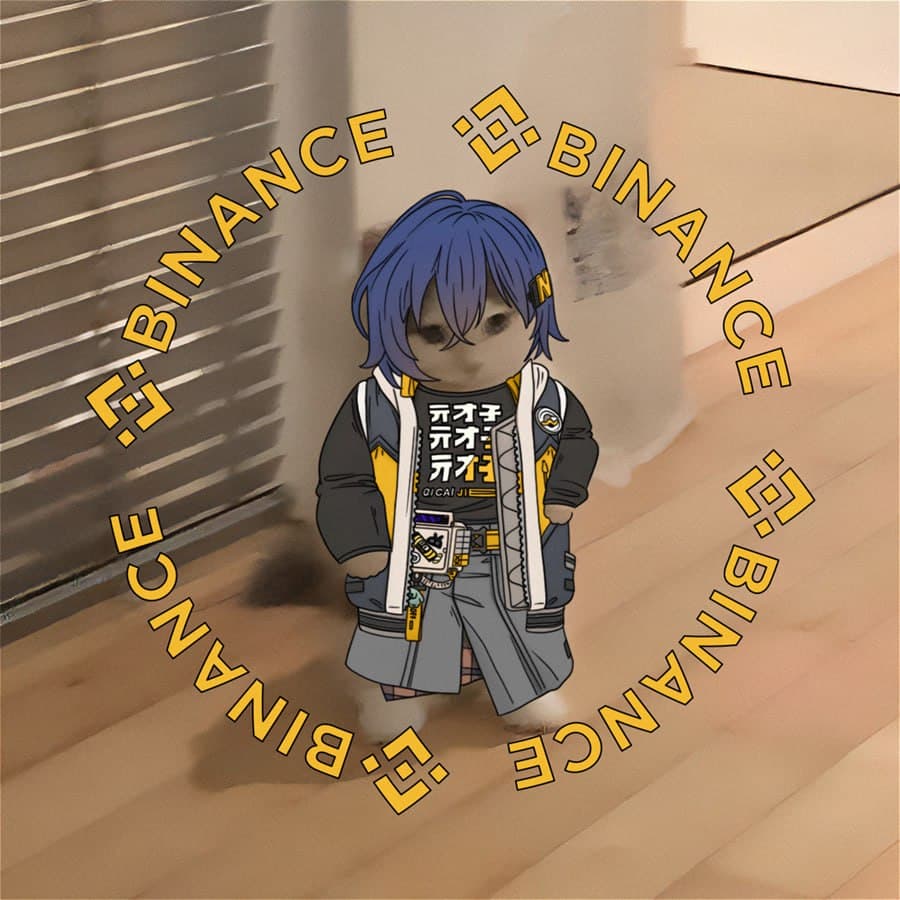 exchanges binance drip