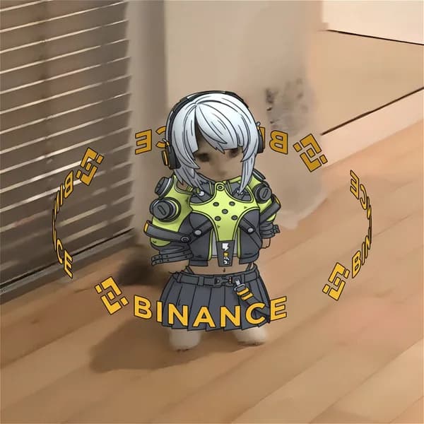 exchanges binance