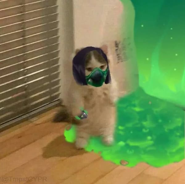 viper poison