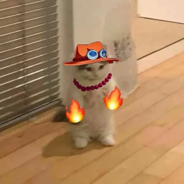 fire hat