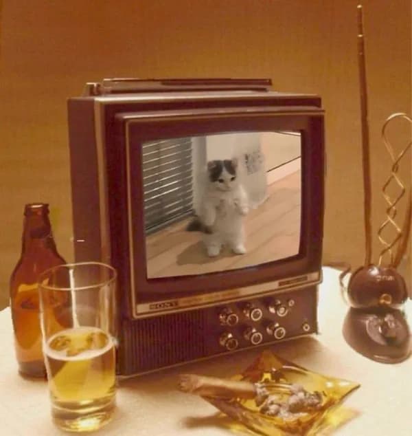 tv television