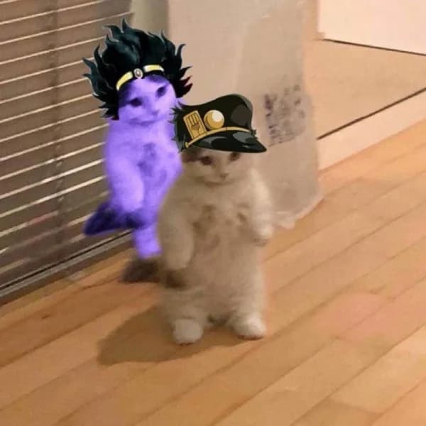 jotaro kujo jojo's bizarre adventure anime