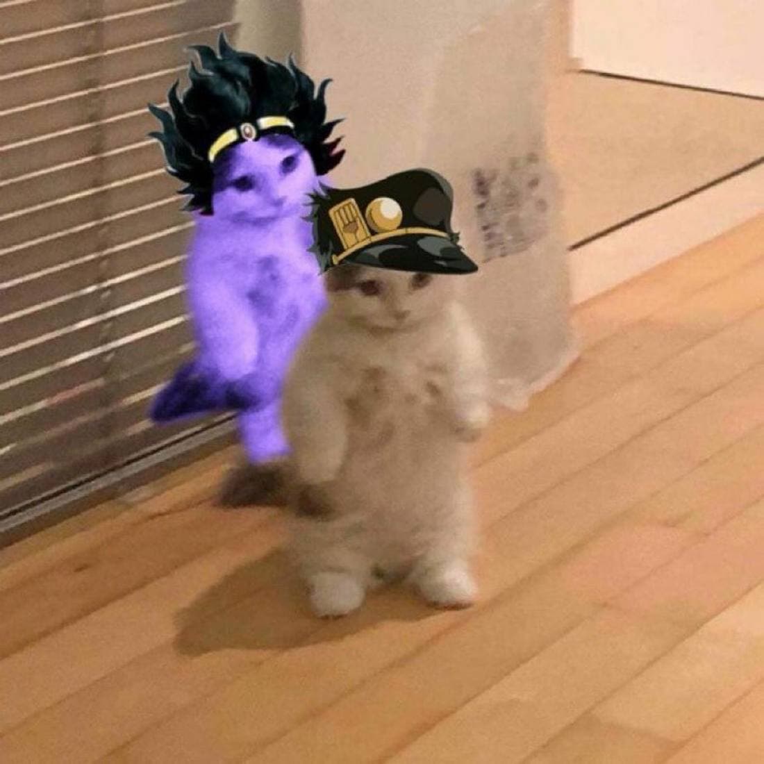 jotaro kujo jojo's bizarre adventure anime