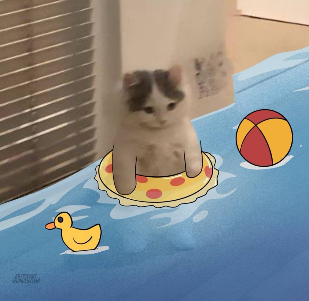 swim duck beach tube