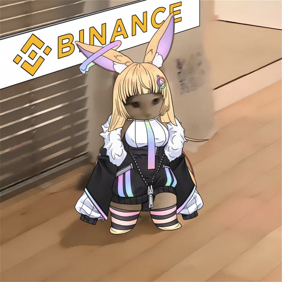 exchanges binance rabbit bunny