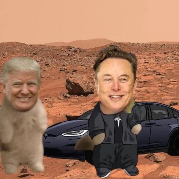 elonmusk trump tesla
