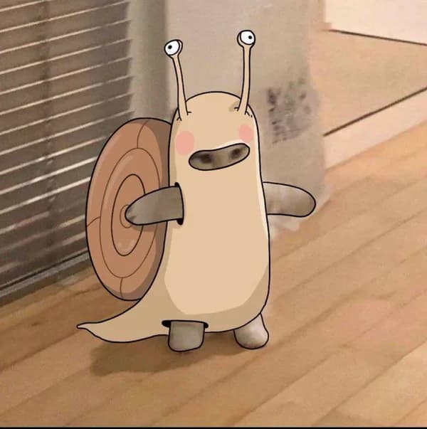 snail